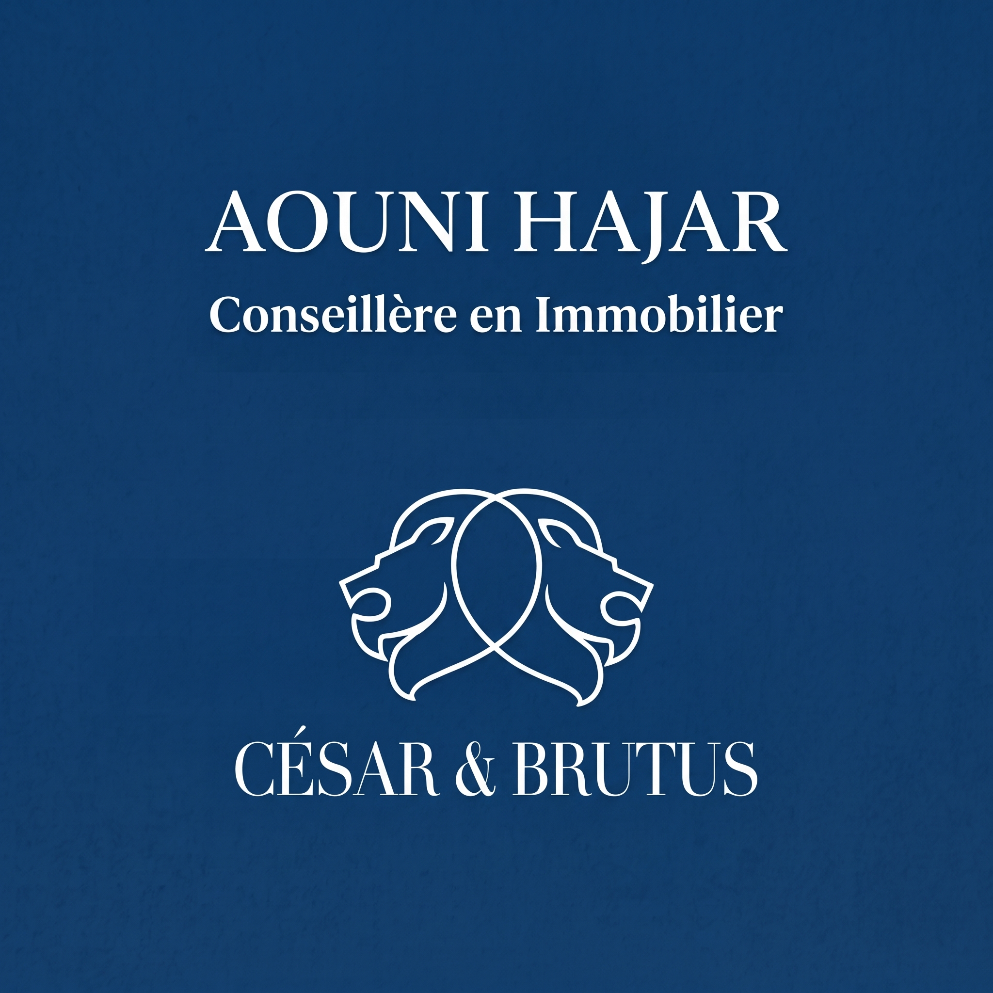 Hajar AOUNI CESAR & BRUTUS