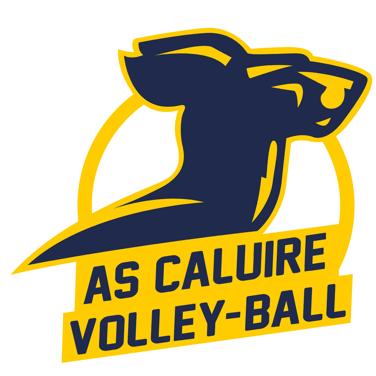 AS Caluire Volley-Ball